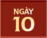 Ngày 10