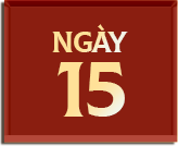 Ngày 15