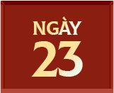 Ngày 23