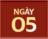 Ngày 5