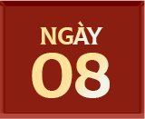 Ngày 8